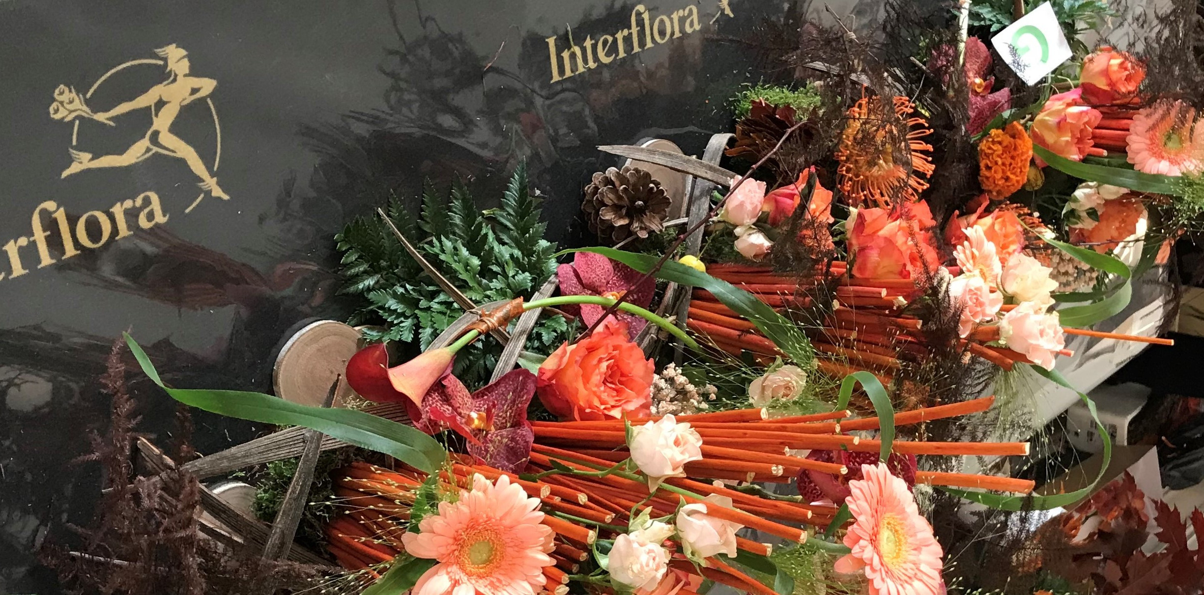 Coupes espoirs régionales Interflora 2021-2022