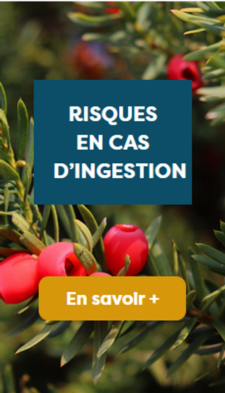 Loi Santé – Juillet 2021
