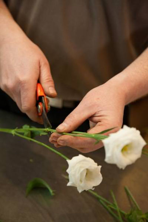 Compétence professionnelle : Conditions exigées d’un maître d’apprentissage