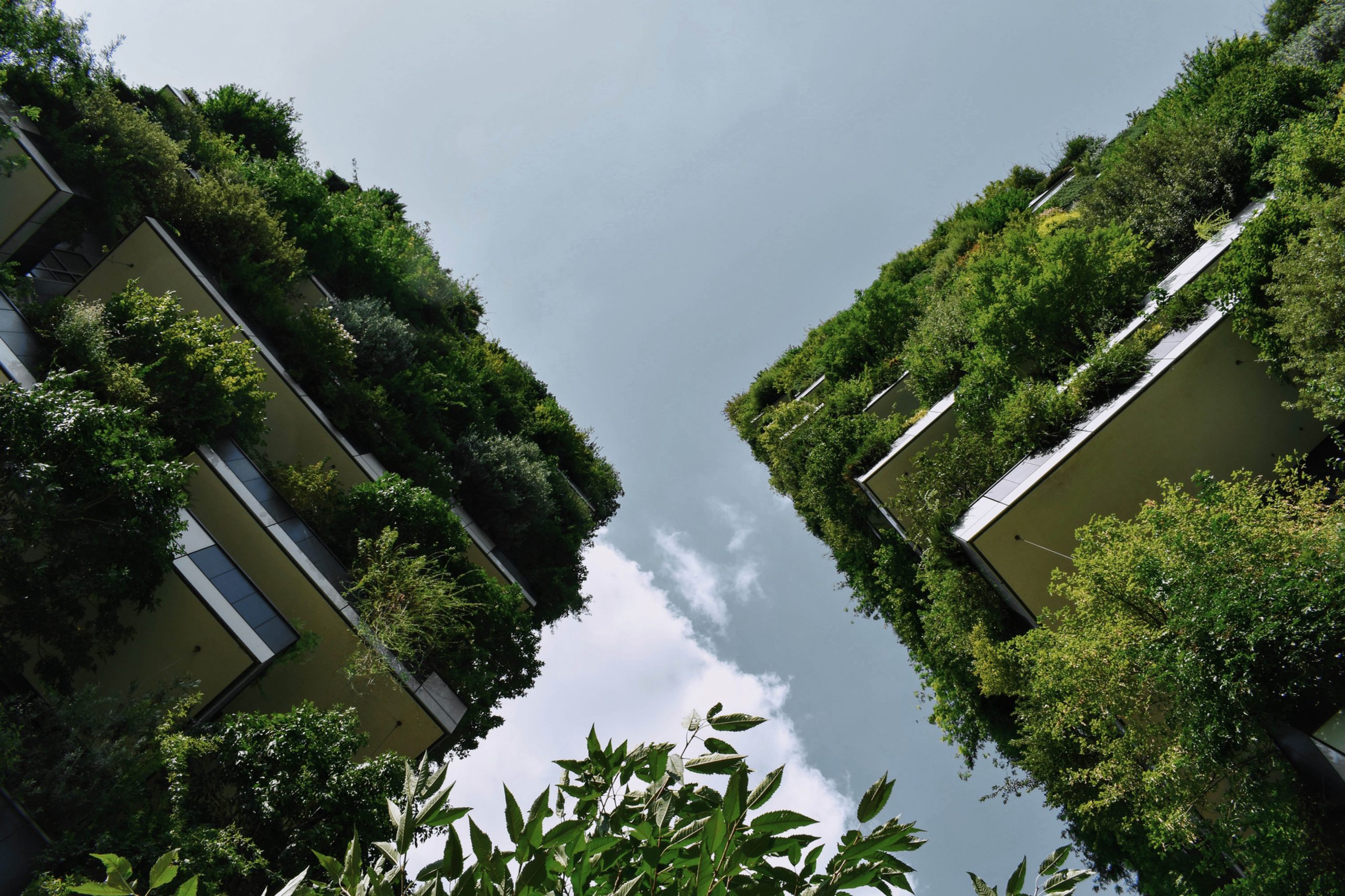 Lancement de la plateforme en ligne “Mission Transition Écologique”