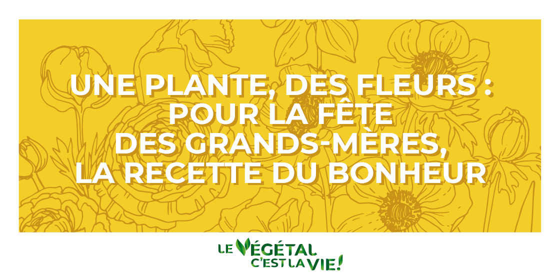 Fête des grands-mères, dimanche 5 mars