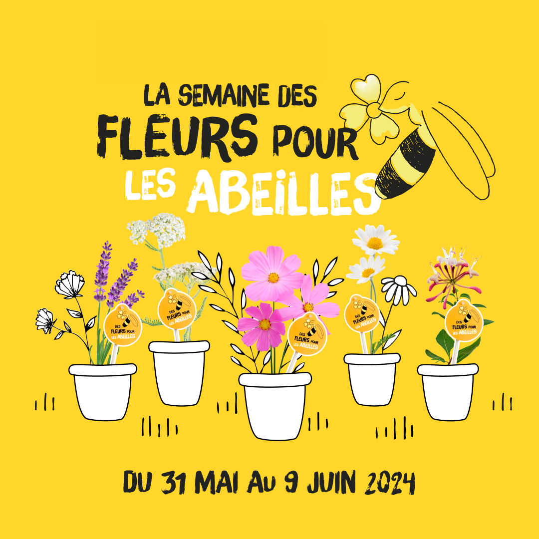 Semaine des Fleurs pour les abeilles : 8ème édition du 31 mai au 9 juin