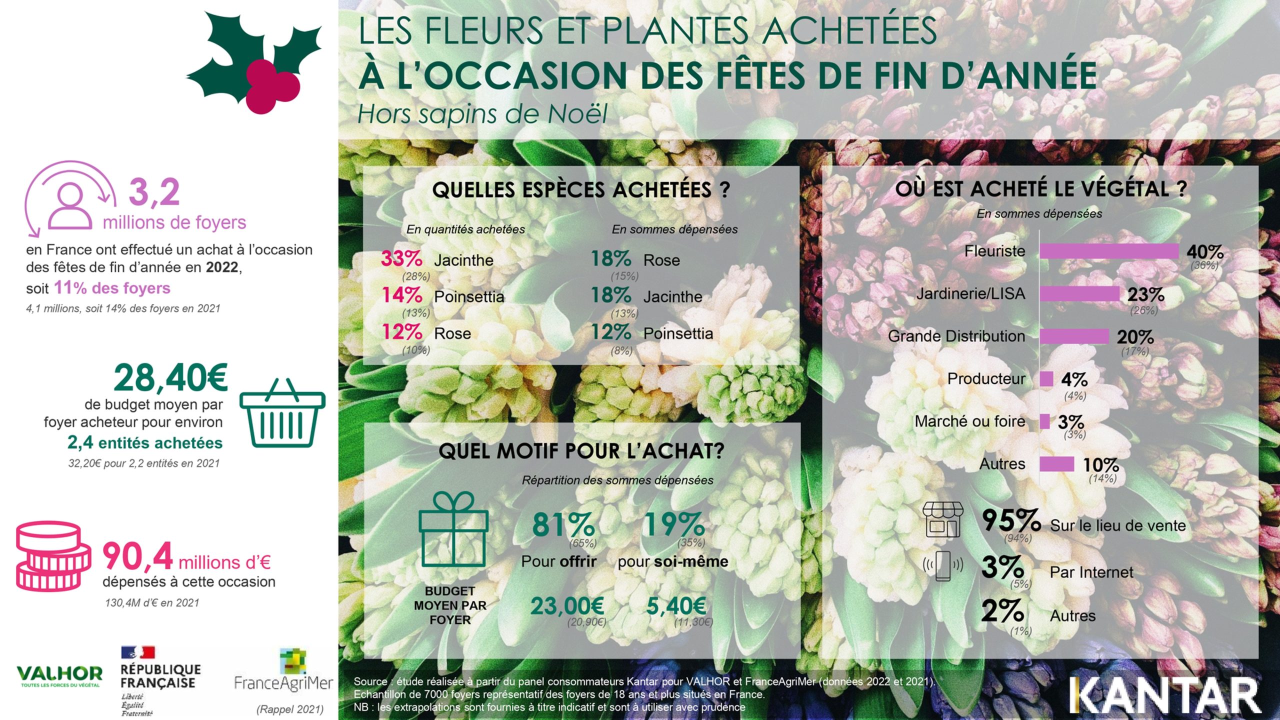 Achats de végétaux à l’occasion des fêtes de fin d’année