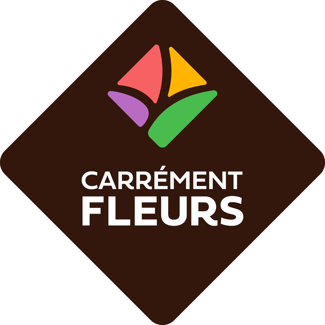 CF-LOGO-BLOC-RVB
